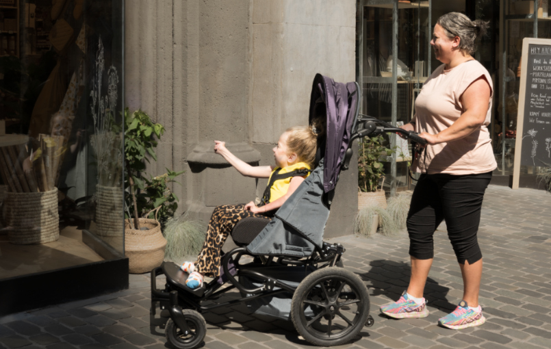 Josi-Pro-Rehabuggy-Fahrradanhaenger-Rehawagen-FiNiFuchs